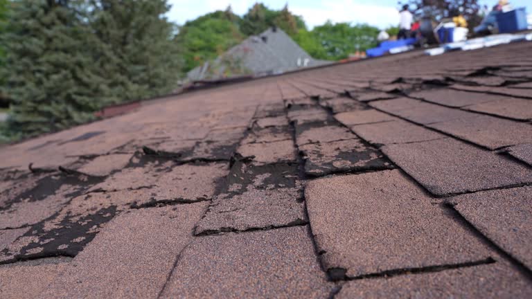 Best Roof Maintenance and Cleaning  in El Sobrante, CA